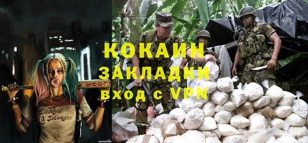 гидра Алексин