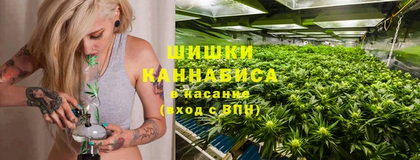 spice Алзамай