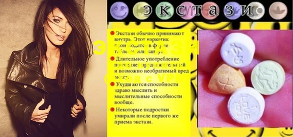 ECSTASY Инсар