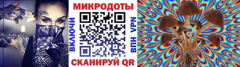 Псилоцибиновые грибы мицелий  сколько стоит  Краснознаменск 